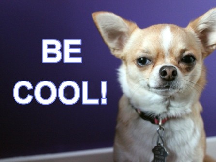 Stay cool this summer, check your ac. Be Cool
