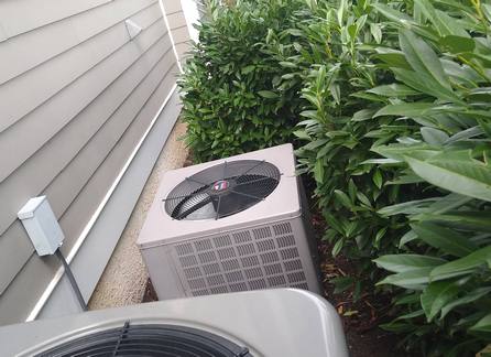 shrubs too close to outdoor unit