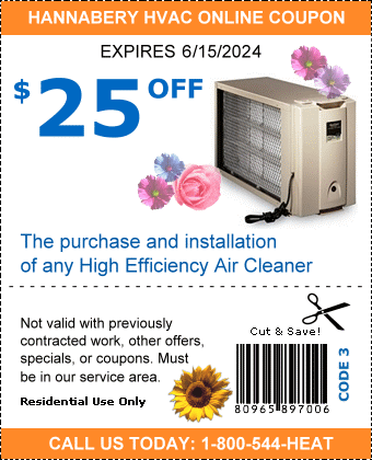 $25 off Air Cleaner coupon