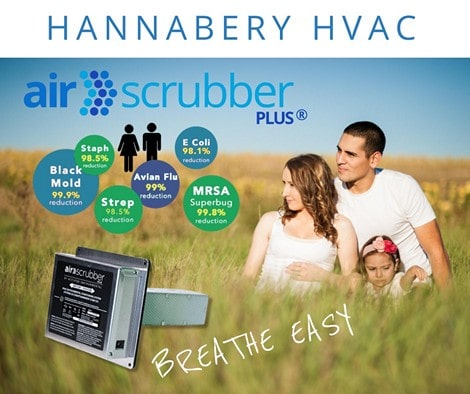 Air Scrubber Plus and family in a field