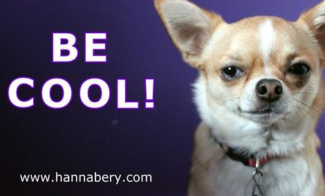 dog saying Be Cool!