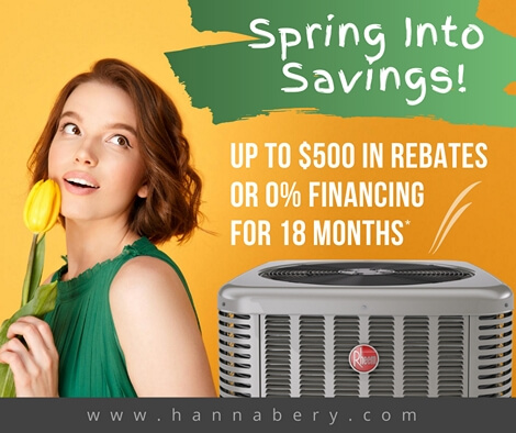 Spring into Savings Rebate or Financing offer from Rheem