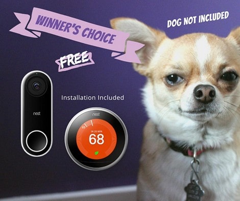 Winners choice of a Nest Pro Thermostat or a Nest Hello Video Doorbell