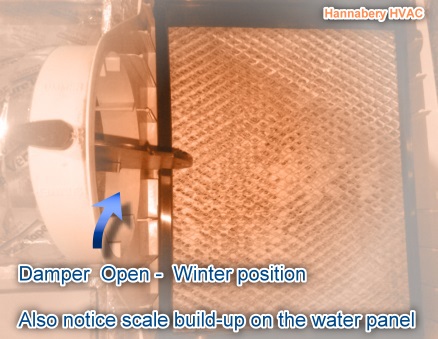 Humidifier use in summer Humidifier use in summer