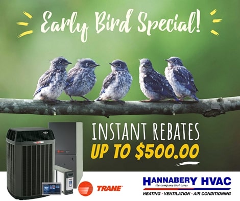 Up to $500.00 Instant Rebate on qualifying Trane equipment. Offer expires 6-15-2021 Spring Rebate from Trane