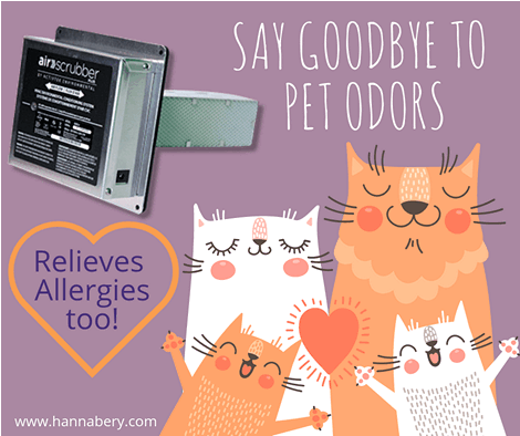 Cats - say goodbye to pet odor